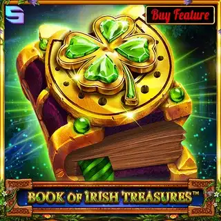 Book of the Irish Treasures